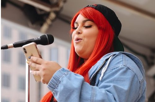 mic